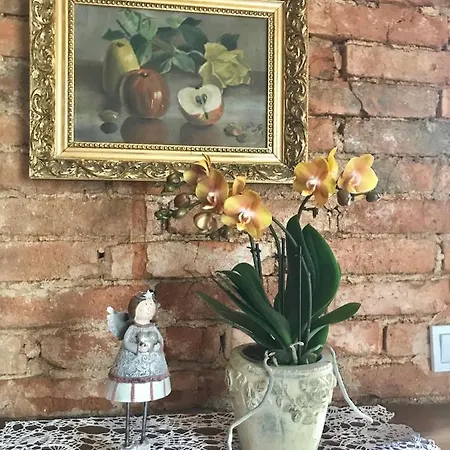 Séjour chez l'habitant Remi